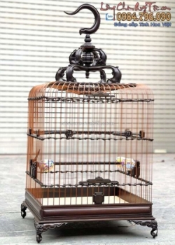 Các loại g chim chào mào cho chim non