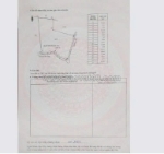 Cần bán 8,7 sào cao su đang thu hoạch – hưng phước, bù đốp, bình phước