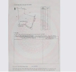 Cần bán 8,7 sào cao su đang thu hoạch – hưng phước, bù đốp, bình phước