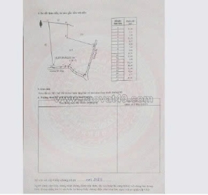 Cần bán 8,7 sào cao su đang thu hoạch – hưng phước, bù đốp, bình phước