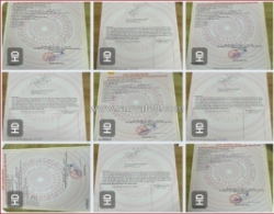 Cần bán dự án của gia đình nhiều bds tại ngõ 195  p.phúc lợi, long biên