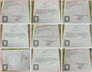 Cần bán dự án của gia đình nhiều bds tại ngõ 195  p.phúc lợi, long biên