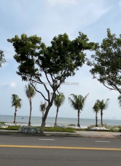 Cần bán mặt tiền biển  đường hoàng sa – khu phức hợp đô thị dịch vụ thương mại