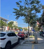 Cần bán nhà mặt tiền núi thành , dt162m2, giá 15.5 tỷ