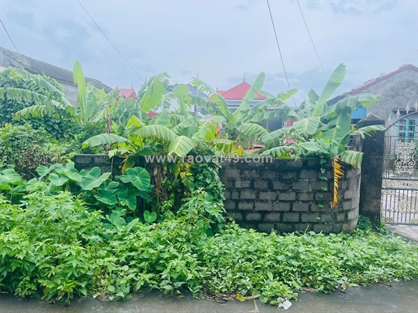 ~/Img/2025/10/canh-vinhomes-kien-thuy-lo-dep-89m-duong-6m-gia-chi-19x-ty-zalo-0567-222-01.jpg