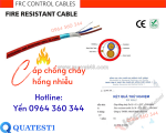 Cáp báo cháy chống cháy chống nhiễu 2x1.5 sẵn kho