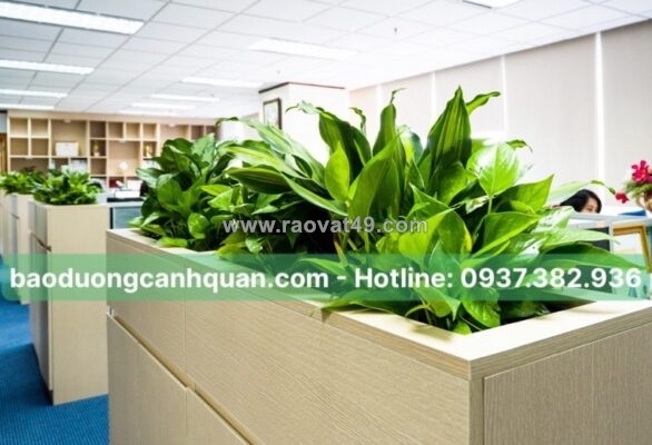 ~/Img/2025/10/cham-soc-cay-xanh-bao-duong-canh-quan-dinh-ky-o-dong-nai-01.jpg