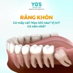 Chăm sóc răng miệng