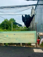 Chỉ 24 triệu/m² - hẻm nhựa xe tải - đất full thổ cư 332m2  shr-thạnh lộc- quận