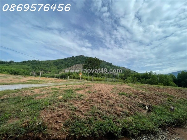 ~/Img/2025/10/chi-80-trieu-co-ngay-77-met-dat-o-duong-o-to-tai-khanh-hoa-02.jpg