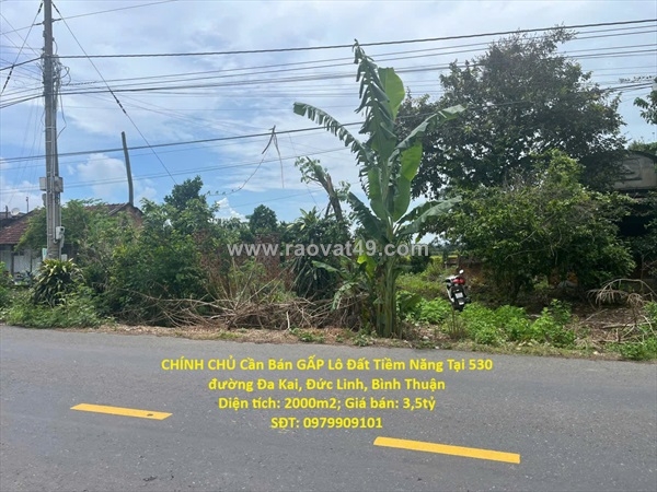 ~/Img/2025/10/chinh-chu-ban-gap-lo-dat-tiem-nang-tai-530-duong-da-kai-duc-linh-binh-thuan-01.jpg