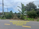 Chính chủ bán gấp lô đất tiềm năng tại 530 đường đa kai, đức linh, bình thuận