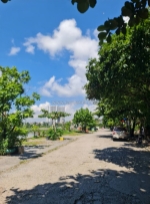 Chính chủ cần bán căn nhà tại cầu 1 – cao xanh – hạ long – quảng ninh.