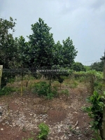 Chính chủ cần bán đất chính chủ – xã thanh an,huyện  hớn quản, bình phước