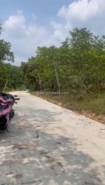 Chính chủ cần bán đất giá rẻ – chỉ 650 triệu/sào-  lộc ninh - bình phước