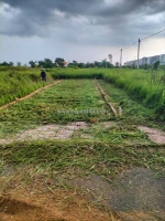 *chính chủ cần bán gấp lô đất giá rẻ ngay xã tân lân, cần đước, long an