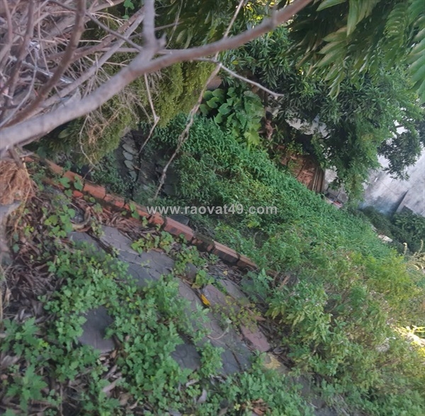 ~/Img/2025/10/chinh-chu-can-ban-lo-dat-mat-duong-bui-vien-le-chan-tp-hai-phong-02.jpg