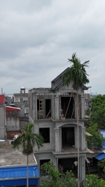 Chính chủ gửi bán villa 3 tầng tân cổ điển – vị trí đắc địa - an dương hải