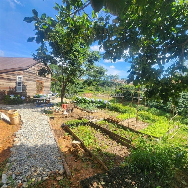 ~/Img/2025/10/cho-thue-homestay-tran-thai-tong-phuong-9-da-lat-02.jpg