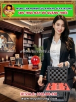 Cho thuê máy dò mạch quặng thiếc phù hợp với mọi địa hình