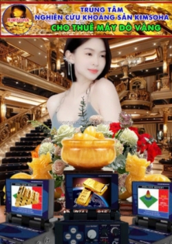 Cho thuê máy dò vàng công nghệ hiện đại