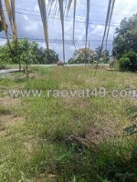 Cơ hội đầu tư sinh lời – đất mặt tiền quốc lộ 62, cây số 15