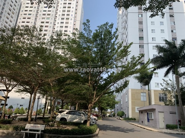 ~/Img/2025/10/con-vai-suat-chung-cu-xa-hoi-binh-chanh-gia-cuc-tot-dang-lam-so-dot-cuoi-lh-02.jpg