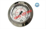 Dantek cung cấp đồng hồ áp suất wika 213.53 chân sau tại bến tre