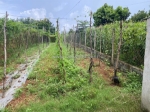 Đất chính chủ- giá tốt cần bán lô đất đường số 2, cư êbur, phừơng buôn ma