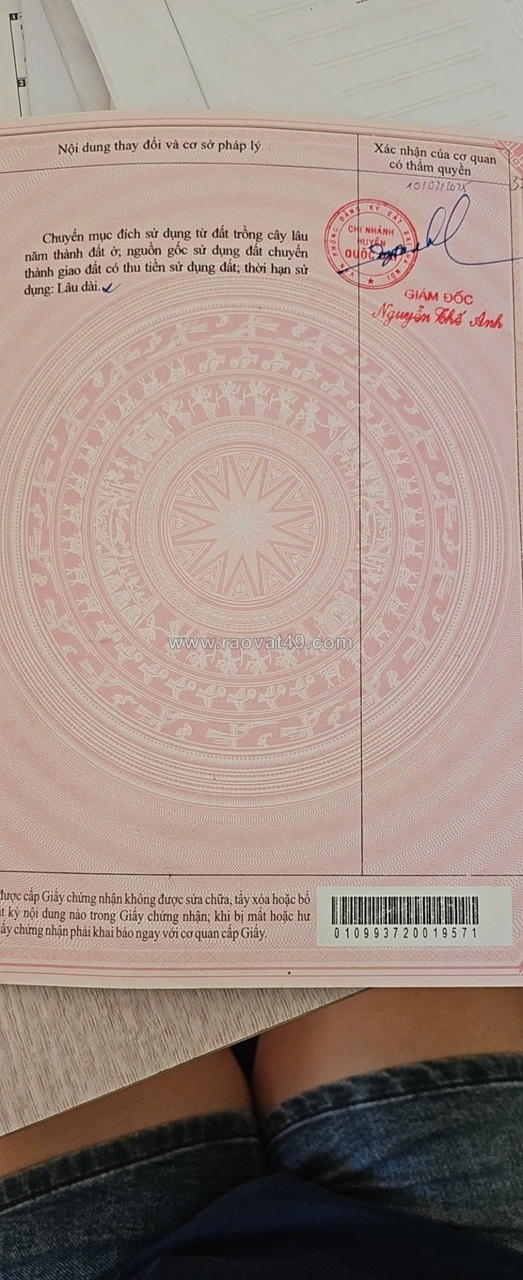 ~/Img/2025/10/dat-dep-gia-tot-can-ban-nhanh-lo-dat-vi-tri-dac-dia-tai-xa-dai-thanh-huyen-02.jpg