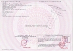 Đất đẹp - giá tốt - chính chủ bán đất mặt tiền đường nguyễn hồng sến, tp. tân