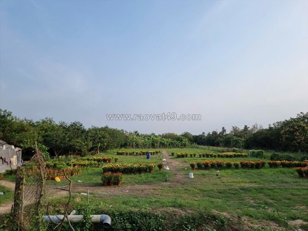 ~/Img/2025/10/dat-dep-gia-tot-chinh-chu-ban-tai-duong-quoc-lo-57-xa-binh-hoa-phuoc-long-02.jpg