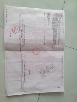 Đất đẹp – giá tốt  – chính chủ cần bán tại dx 07 xã tân vĩnh hiệp, tân uyên,