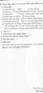 Đất đẹp – giá tốt  – chính chủ cần bán tại xã thái mỹ, củ chi, hồ chí minh