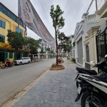 Đất đẹp trâu quỳ 58m² – mặt tiền 5m, sổ đỏ – mr. vỹ 0989894845