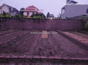 Đất đình trung, 46m2, mt4.5m, xe tải, 3.1 tỷ.(đông anh), thư lâm.