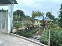 Đất vuông shr hxh 2798m2 – đông thạnh 2 hóc môn