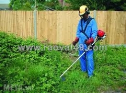 Dịch vụ cắt cỏ nhanh chóng – giá tốt