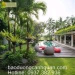 Dịch vụ chăm sóc cảnh quan – đẹp mọi góc nhìn