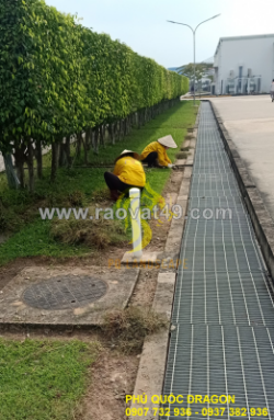 Dịch vụ dọn cỏ nhanh gọn - sạch