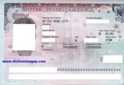 Dịch vụ làm visa mỹ diện du lịch, công tác, thăm thân