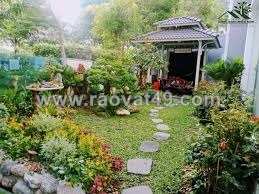 Dịch vụ thi công sân vườn trọn gói