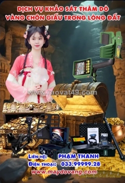 Dịch vụ tư vấn - khảo sát thăm dò vàng