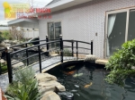 Dịch vụ vệ sinh hồ cá koi giá rẻ ở hcm đồng nai