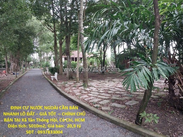 ~/Img/2025/10/dinh-cu-nuoc-ngoai-can-ban-nhanh-lo-dat-gia-tot-chinh-chu-ban-tai-xa-tan-01.jpg