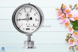 Đồng hồ áp suất màng wise p752s – độ chính xác cao, chống ăn mòn hiệu quả | dantek giao hàng nhanh toàn quốc