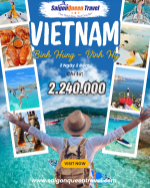 Du lịch đà nẵng – bà nà hills – hội an: hành trình khám phá miền trung tuyệt đẹp 2025