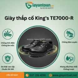Giày bảo hộ k2 te7000 r