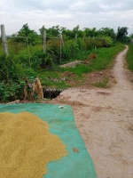 Hiếm – đất chuyển đổi gần 2000m² tại đông hưng, thái bình – ô tô vào tận nơi –