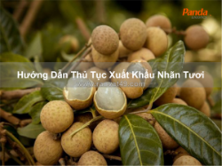 Hướng dẫn thủ tục xuất khẩu nhãn tươi